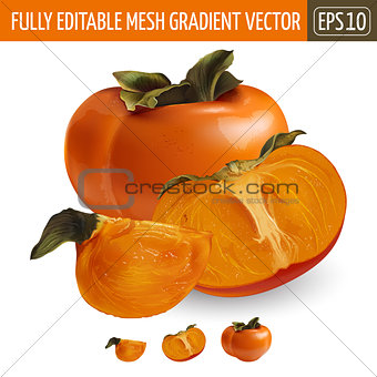 Persimmon on white background. Vector illustration