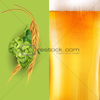 Hops, malt and beer. Vector illustration