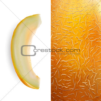 Slice of melon. Vector illustration