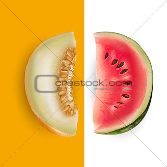 Slice of melon and watermelon. Vector illustration