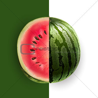 Slice of watermelon. Vector illustration