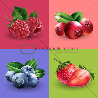 Raspberries, cranberries, blueberries and strawberries
