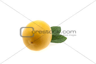 Bright fresh lemon with two green leaves on a white background. 