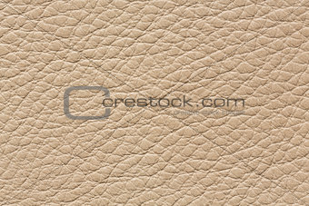 Clean leather texture in classic light colour.