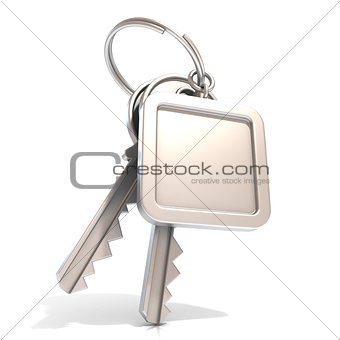 Two door keys and square blank label on ring. 3D