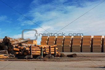 Logs and Plywood at Lumber Mill