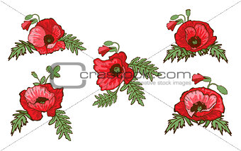Set of hand drawn red poppies isolated on white background. Buds and flowers. Botanical vector. Floral elements for your design.
