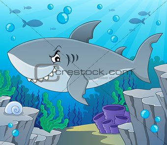 Shark topic image 2