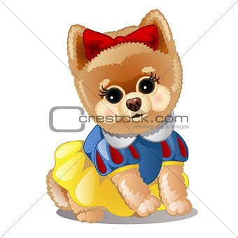 Little fluffy dog in clothes. Vector illustration.