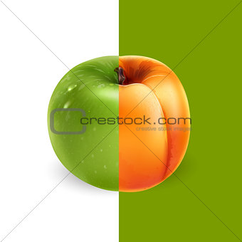 Apricot and green apple. Vector illustration