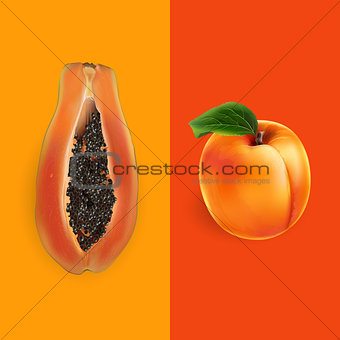 Papaya and apricot. Vector illustration