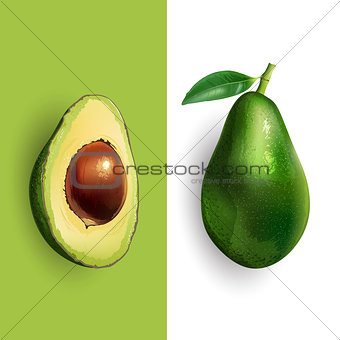 Avocado. Vector illustration