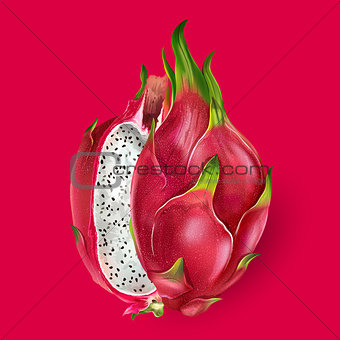 Dragon fruit. Vector illustration