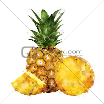 Pineapple on white background. Watercolor illustration