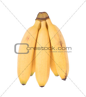 Small tropical banana cluster