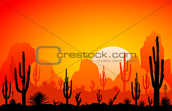 Desert, the sunset