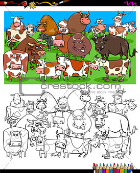 cows and bulls characters coloring book