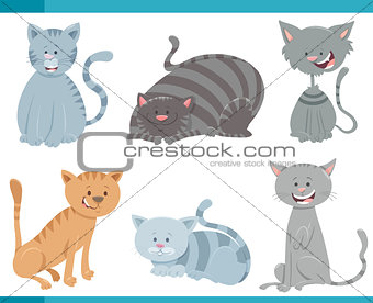 cute cats and kittens characters set