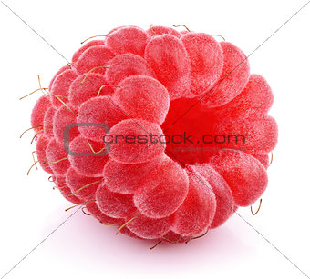 Single red raspberry fruit isolated on white