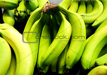 Many green bananas