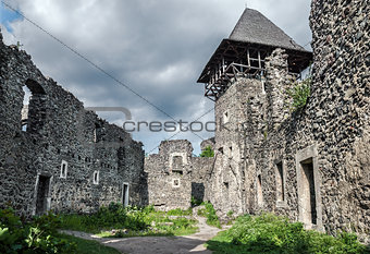 Ruins of Nevitsky Castle