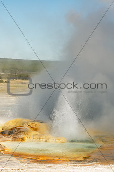 Spasm Geyer erupting and fuming in Fountain Paint Pots area in Yellowstone National Park, Wyoming