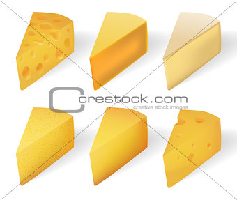 Yummy Yellow cheese isolated on white. Realistic Cheese types set isolated on white. vector illustration