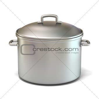 Steel cooking pot. 3D