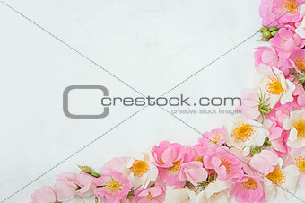 Flower border frame made of pink roses bouquet on a white background. The apartment lay, top view. Floral texture background.
