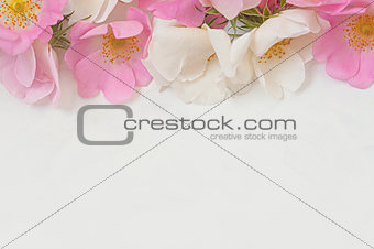 Flowers composition. Frame made of pink rose flowers on white wooden background. Flat lay, top view, copy space.