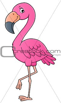 Flamingo topic image 1