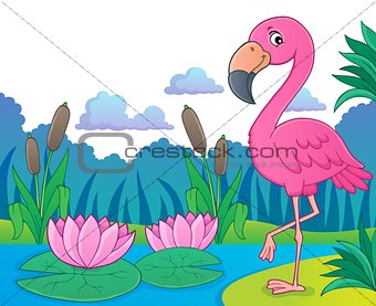 Flamingo topic image 5