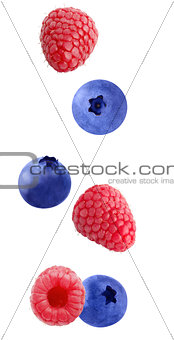  Flying raspberry and blueberry fruits isolated on white backgro