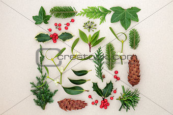 Winter Leaves with Holly and Mistletoe