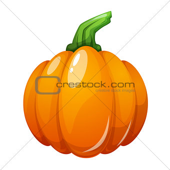 Cartoon pumpkin illustration on the white background.