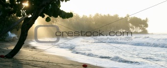 Beach in Caribbean by Sunset