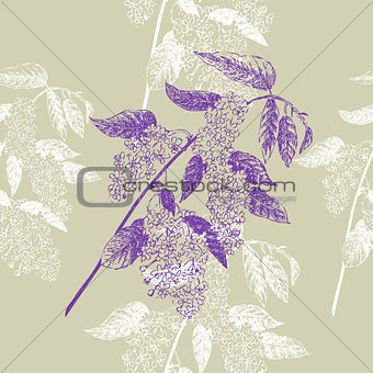 Seamless Pattern with Bird Cherry. Sketches of spring flowers