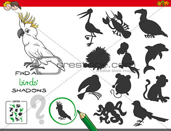 educational shadows game with birds characters