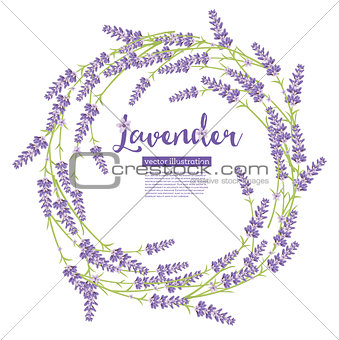 Lavender Wreath Flowers Isolated on White. 
