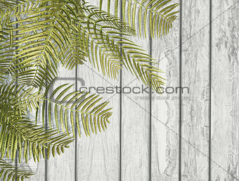 3D fern leaves on a white wooden texture