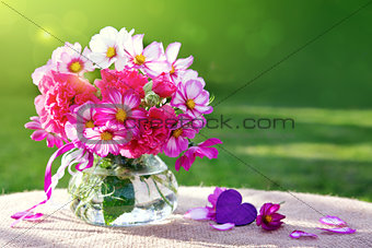 Cosmos flowers bouquet isolated on green background .