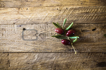 Olives on branch