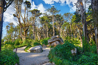 National natural park in Sintra Portugal