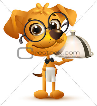 Funny dog waiter holds tray of dish and white napkin