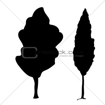 Silhouette Poplar icon tree flora