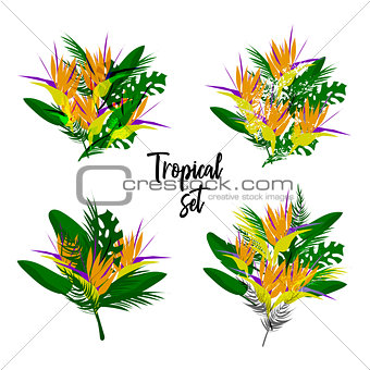 Tropical vector floral set