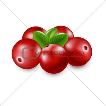 Granberry Isolated White background
