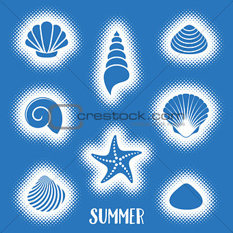 Vector summer card with sea shells