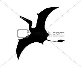 Silhouette Pterosaur dinosaur jurassic prehistoric animal