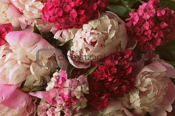 Beautiful summer flowers. Bouquet of pink peony and William background.